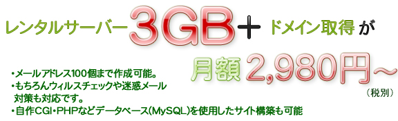 レンタルサーバー3GB＋ドメイン取得が月額2980円