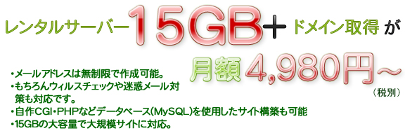レンタルサーバー15GB＋ドメイン取得が月額4980円