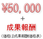 50000円プラス成果報酬（価格は成果報酬価格表）